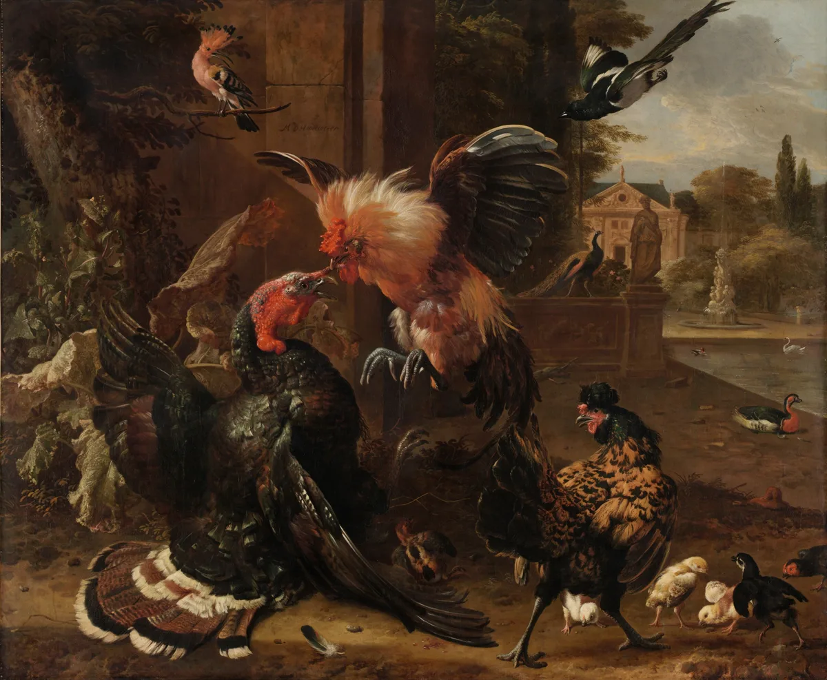 A Rooster and Turkey Fighting, painting by Melchior de Hondecoeter