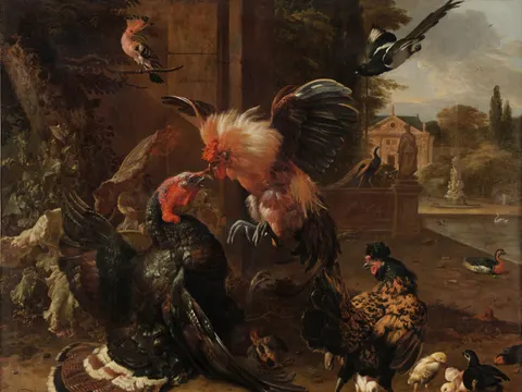 A Rooster and Turkey Fighting, painting by Melchior de Hondecoeter