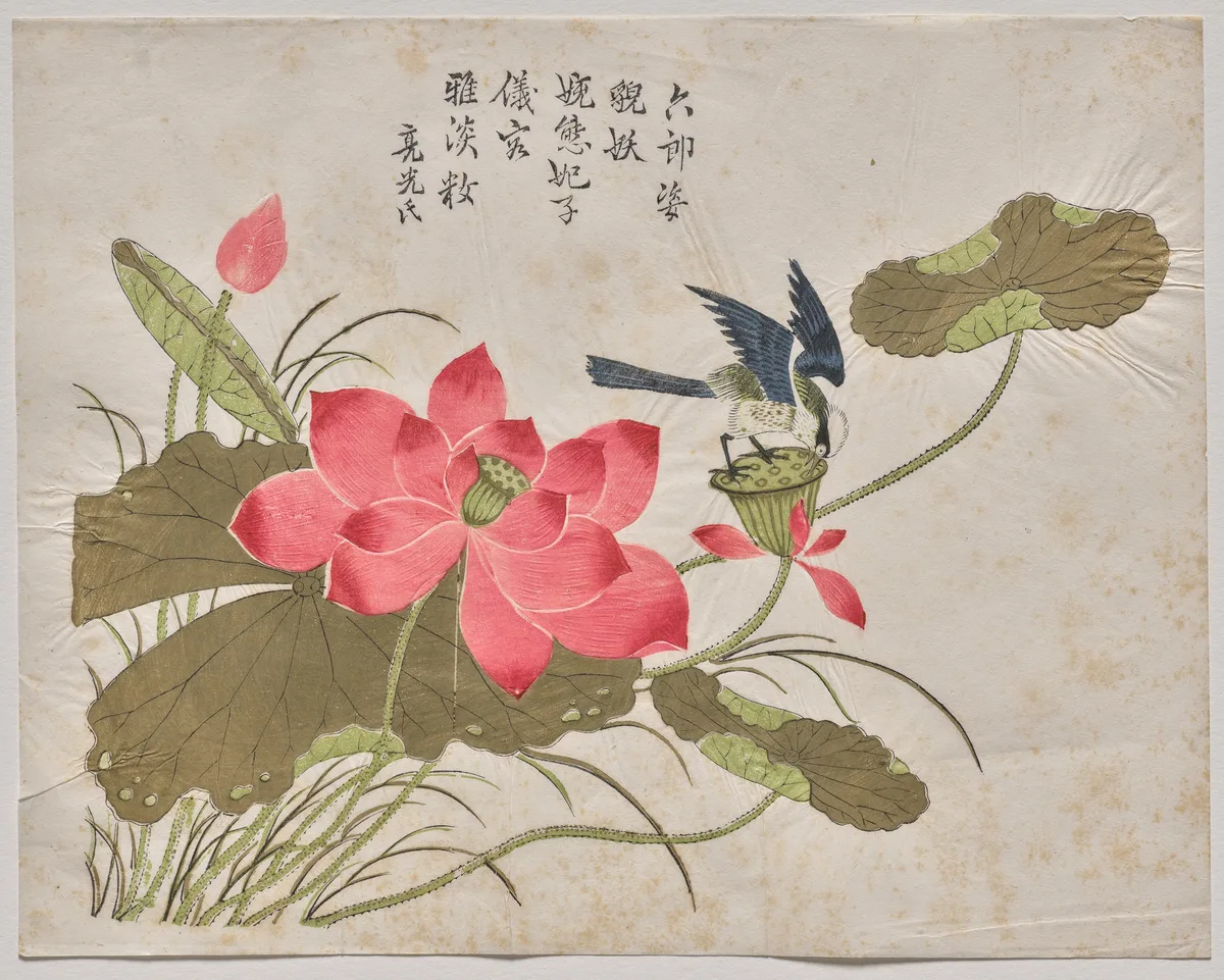 Bird on Lotus, print by Unknown artist