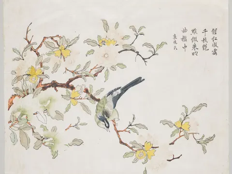 Bird on Pomegranate, print by Unknown artist