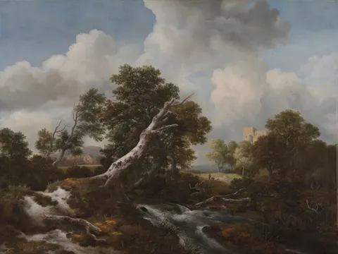 Low Waterfall in a Wooded Landscape with a Dead Beech Tree, painting by Jacob van Ruisdael